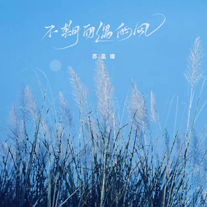 国产精品视频成人
