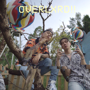 国产精品视频成人
