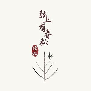 国产精品视频成人
