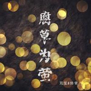 国产精品视频成人
